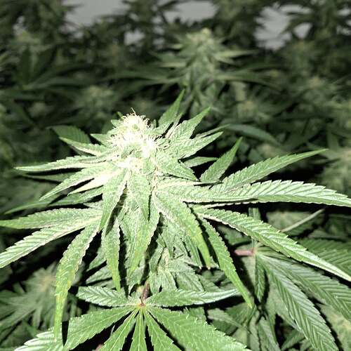 476350652_122166343766293599_4093552956882520101_n