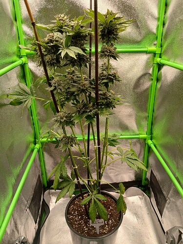 Growreport Bild 11