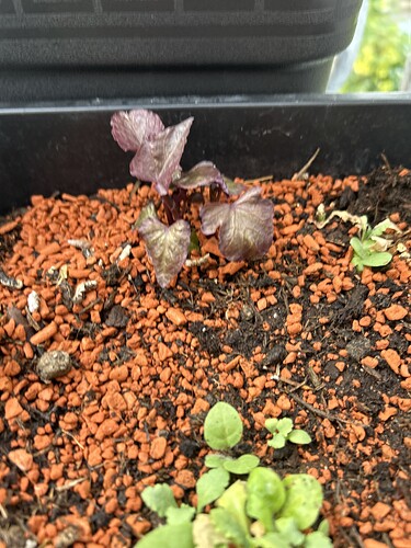 Growreport Bild 22