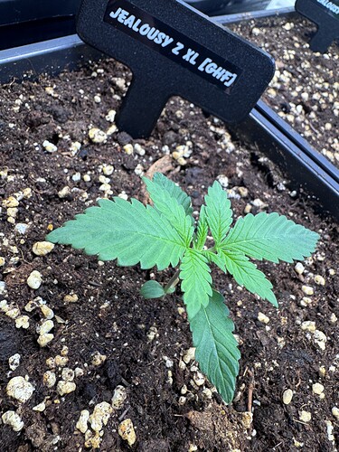 Growreport Bild 30