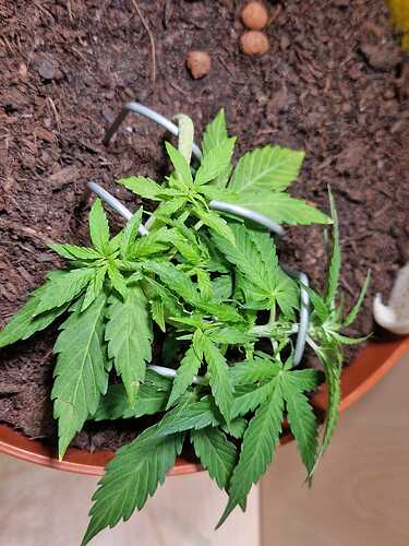 WhatsApp Image 2024-05-27 at 12.39.44 (1)