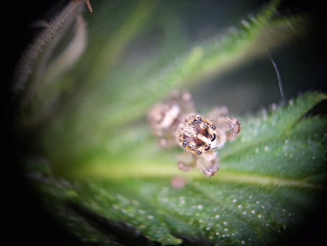 Growreport Bild 6