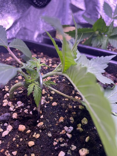 Growreport Bild 21