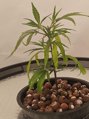 Growreport Bild 4