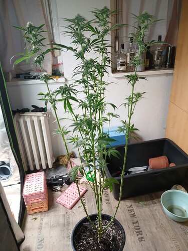 Growreport Bild 22
