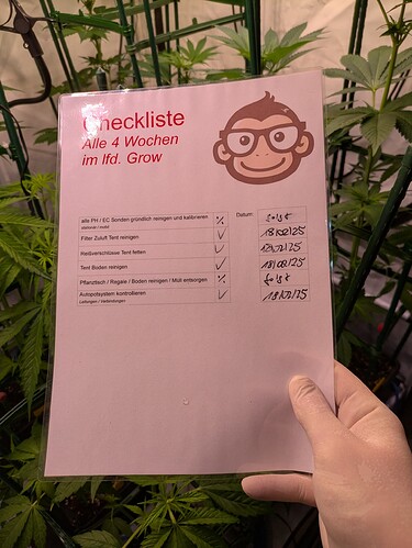 Growreport Bild 1