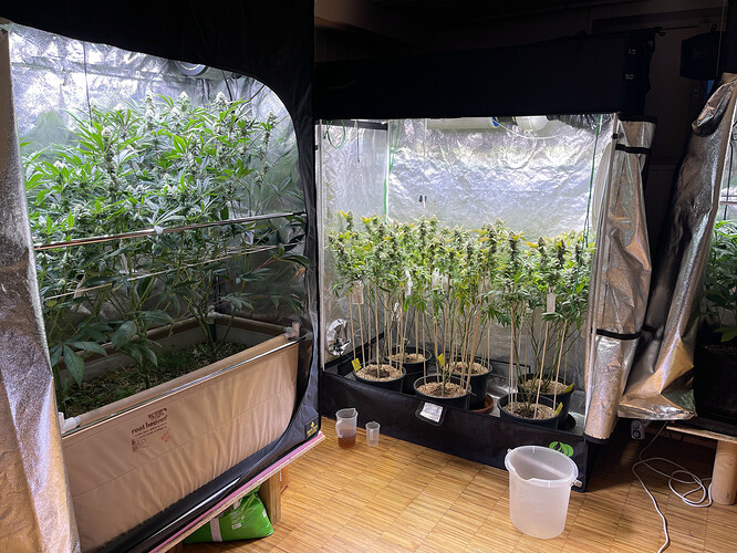 Growreport Bild 29