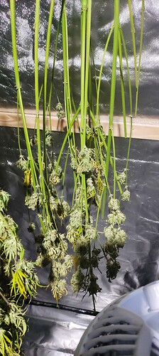 Growreport Bild 12