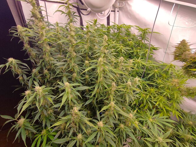Growreport Bild 22