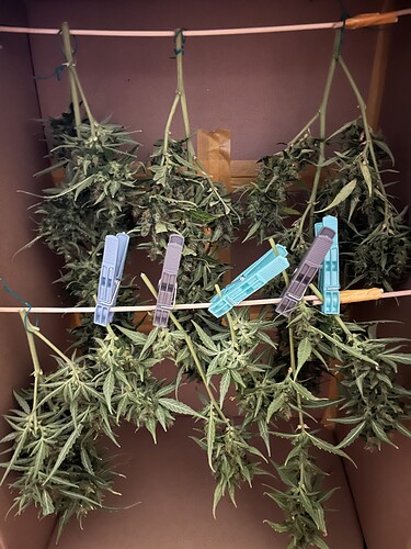 Growreport Bild 4