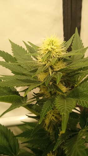 Growreport Bild 9