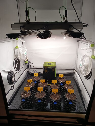 Growreport Bild 4