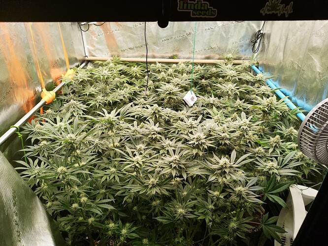 Growreport Bild 12