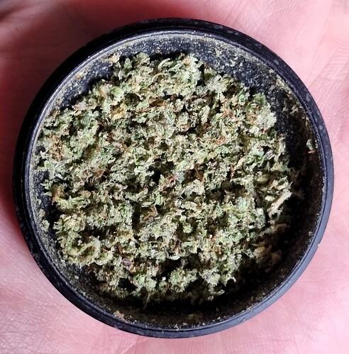 Growreport Bild 42