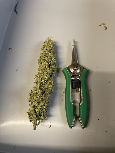 Growreport Bild 12