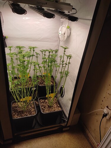 Growreport Bild 19
