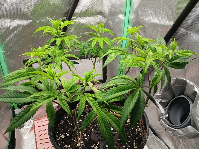 Growreport Bild 10