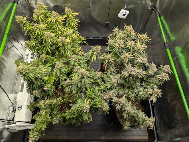 Growreport Bild 4