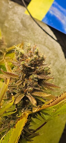 Growreport Bild 21
