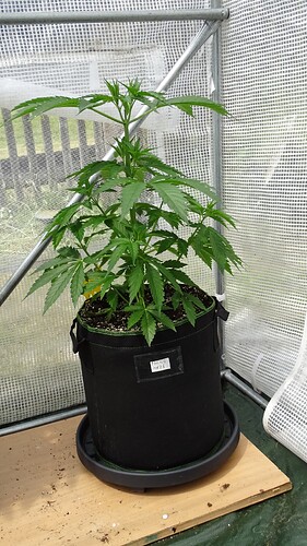 Growreport Bild 12