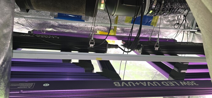 Growreport Bild 11