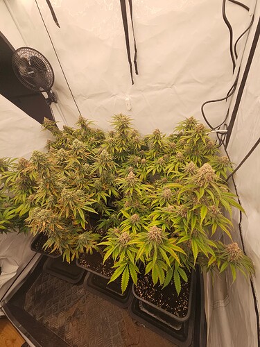 Growreport Bild 16