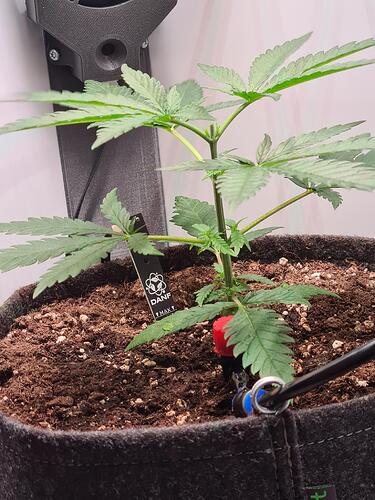 signal-2024-07-07-224721_002