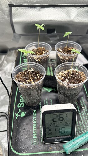 Growreport Bild 3