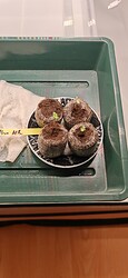 Growreport Bild 3