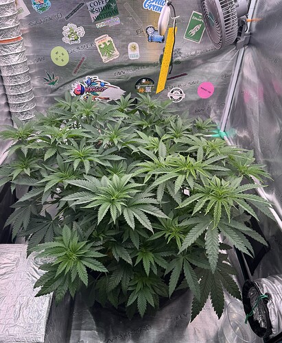 Growreport Bild 16