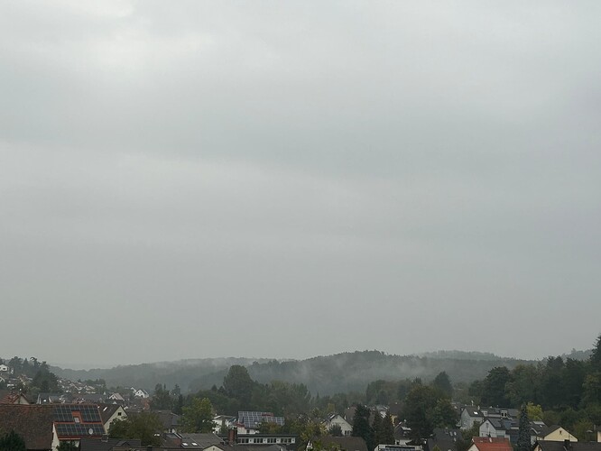 Growreport Bild 2