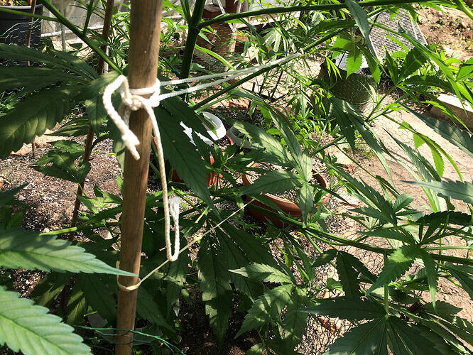 Grow26_0721_3