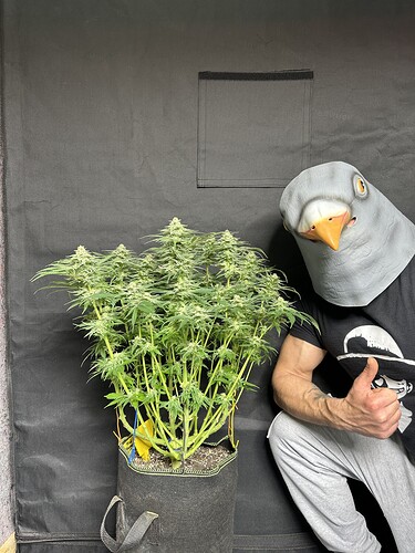 Growreport Bild 6