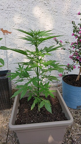 Growreport Bild 24