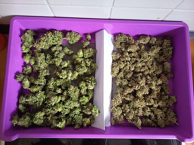 Growreport Bild 7