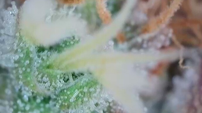 Growreport Bild 44