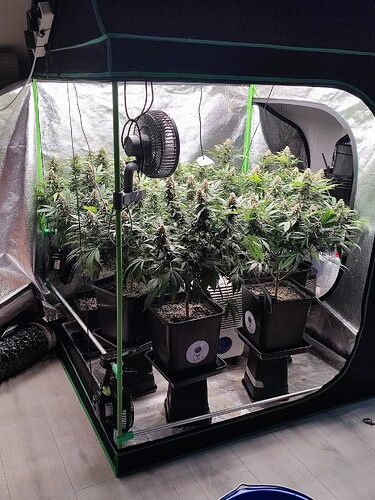 Growreport Bild 2