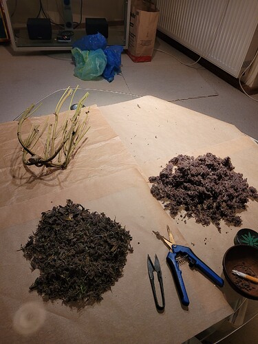 Growreport Bild 20