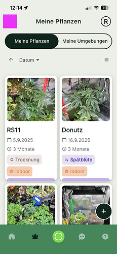 Growreport Bild 2