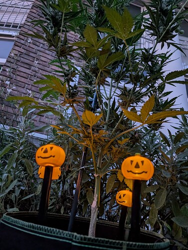 Growreport Bild 11