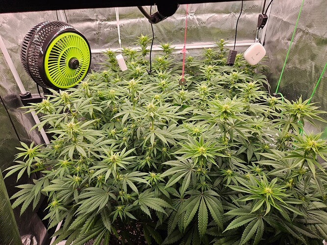 Growreport Bild 23