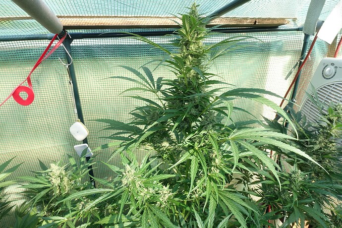 Growreport Bild 12