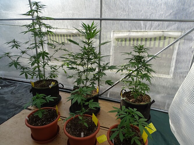 Growreport Bild 1
