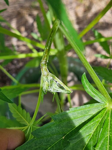 Growreport Bild 11