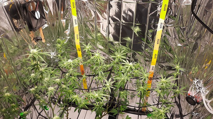 Growreport Bild 1