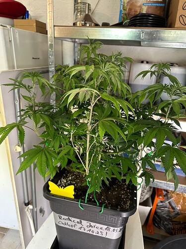 Growreport Bild 45