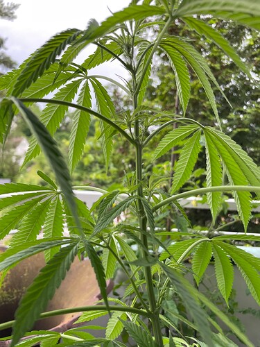 Growreport Bild 32