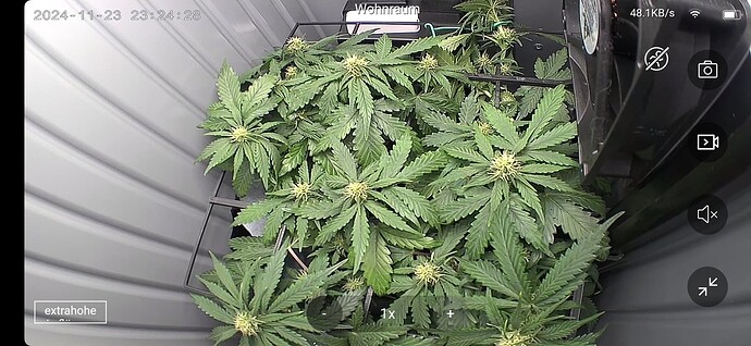 Screenshot_20241123_232429_O-KAM Pro