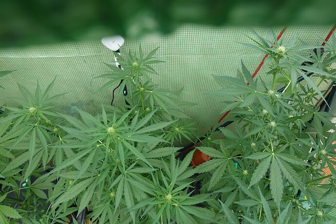 Growreport Bild 14