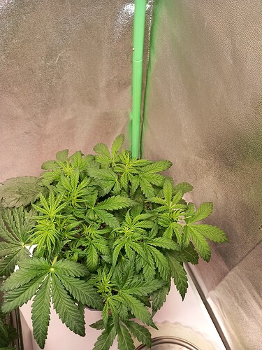 Growreport Bild 12